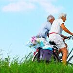 Scammers Target the Elderly