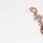 Missing Earrings Mystery