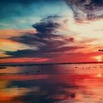 Embracing Carpe Diem