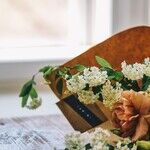 Funeral Etiquette