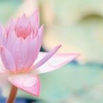 Give Yourself the Gift of Forgiveness