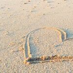 Open to Loving Again