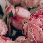 Am I Willing to Be Unwed?