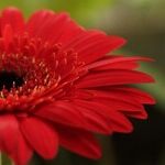 A Mother Retaliates to Daughters' Snubs