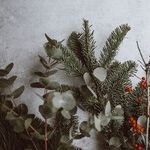 Happy Holidays to All