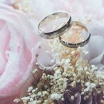 Uninvited Guests Threaten Wedding Day Fun