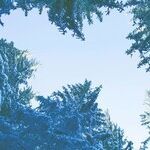 Navigating Family Bonds With Care and Concern