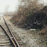 At a Crossroads in Retirement