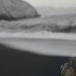 Balancing Parenthood's Struggles and Sacrifices