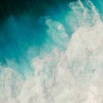 Family Wounds and Forgiveness