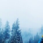 A New Beginning Up North