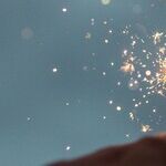 Trust Troubles: Honoring Wishes Over Transparency
