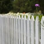 Neighbor Threatens a 40-Year Marriage