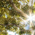 Learning to Forgive