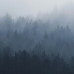 Dealing With Depression
