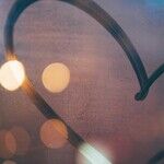 Family Ties and Tough Love