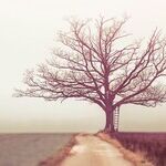 Rebuilding Trust After an Affair