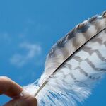 Finding Peace in Family Conflict