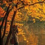 Thoughts for Autumn
