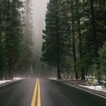 Navigating Family Dynamics With Grace