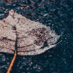 Best Friend Feels Betrayed by My New Relationship With His Ex