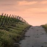 Family Boundaries and Paths to Healing