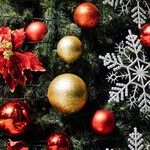 Happy Holidays to All