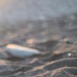 Balancing Family Tension and Personal Peace