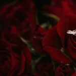 When Is It OK for a Woman to Propose?