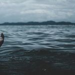 Letting Go of an Emotionally Draining Friendship
