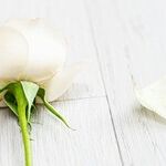 A Mother's Heartache: Reaching Out to My Son