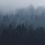 The Quiet Signs of Emotional Abuse