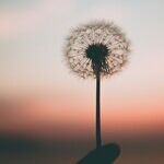 Making Peace Without Answers