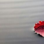 Sanity Over Silence