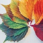 Different Seasons, Same Journey