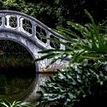 Bridging the Gap With Daughters-in-Law