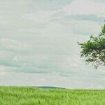 The Hidden Cause Behind a Loved One's Withdrawal