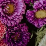 Loving My Daughter, Struggling With Her Choices