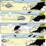 Strange Brew for Feb 12, 2014