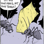 Strange Brew for May 22, 2014