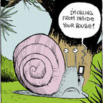Strange Brew for Jun 14, 2014
