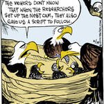 Strange Brew for Jun 19, 2014