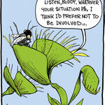 Strange Brew for Jul 16, 2014