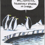 Strange Brew for Oct 08, 2025