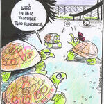 Strange Brew for Nov 22, 2025