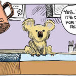 Strange Brew for Dec 07, 2025