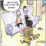 Strange Brew for Dec 26, 2025