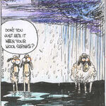 Strange Brew for Jan 16, 2026