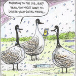 Strange Brew for Jan 27, 2026