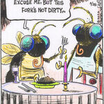 Strange Brew for Feb 28, 2026